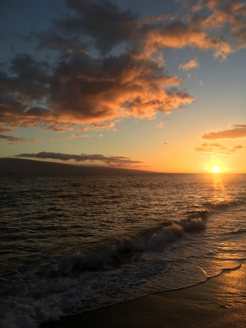 75D2C605-1C93-42B4-A83C-7E577D94AD22