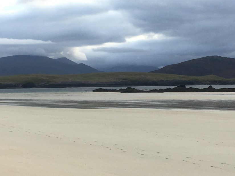 2255E386-5566-4A3E-9C14-92E1F725ED22